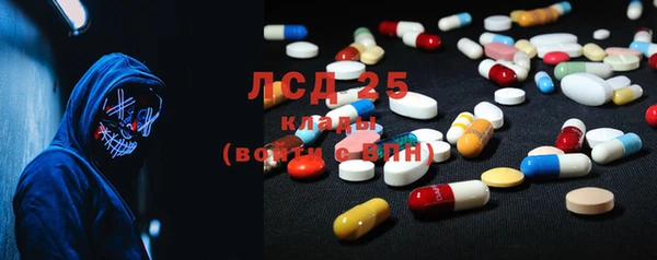 прущие грибы Бородино