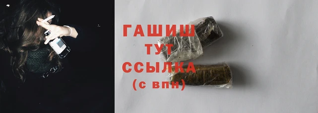 прущие грибы Бородино
