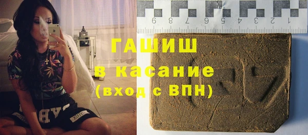 прущие грибы Бородино