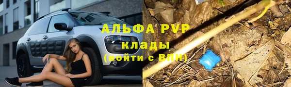 ешки Бугульма