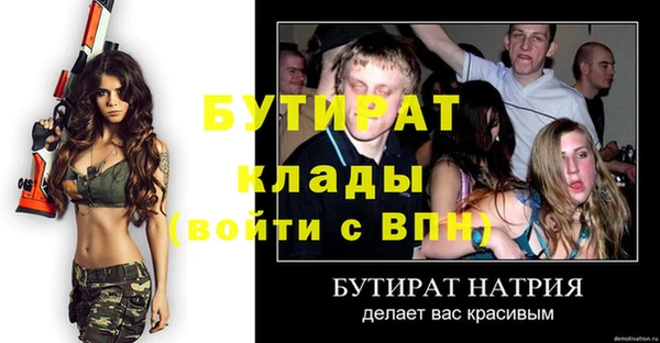 прущие грибы Бородино